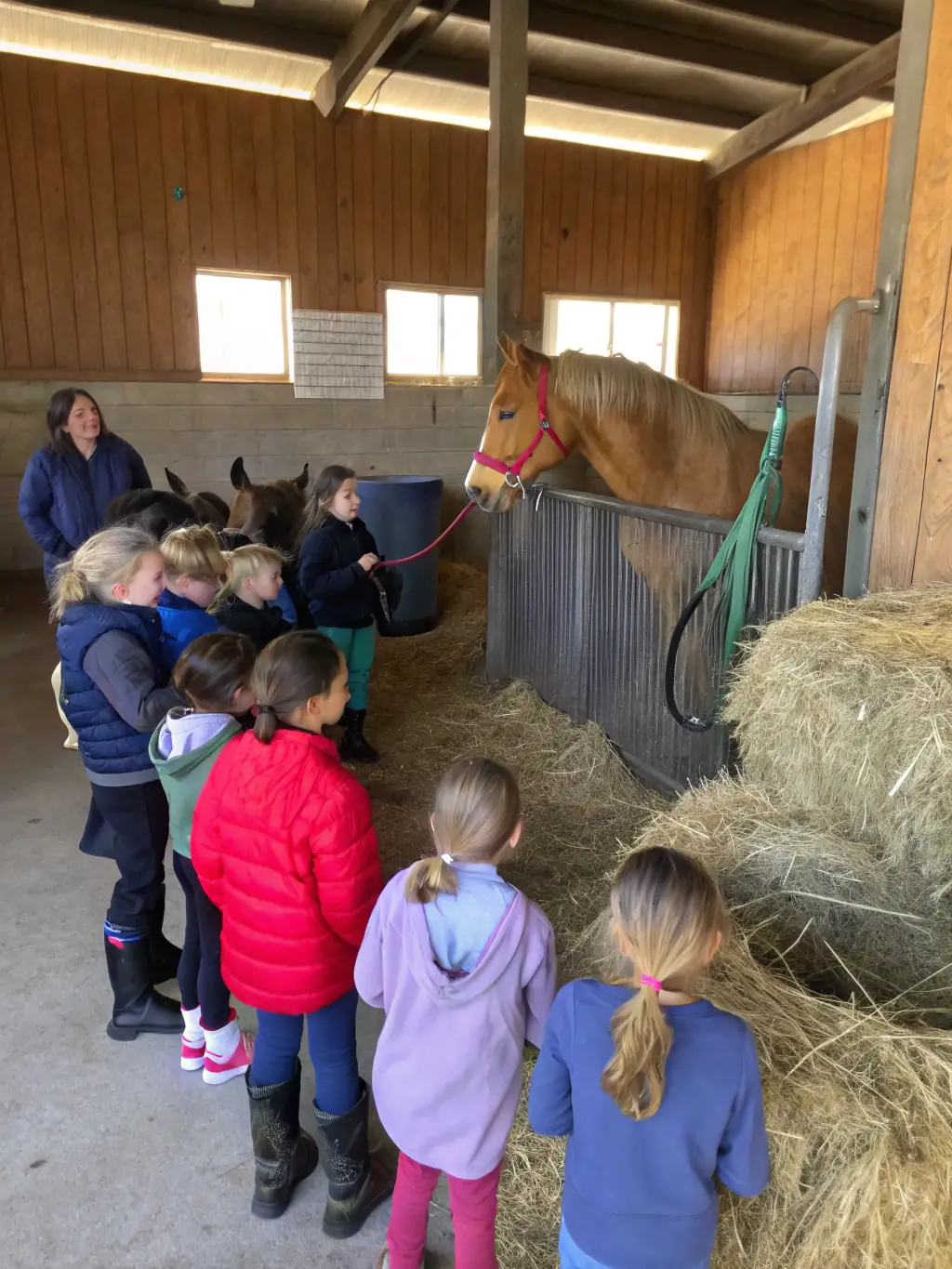 A group of children are laughing and interacting with horses in a stable setting. The horses are friendly and approachable, and the children are learning basic grooming and care techniques. The stable is clean and well-maintained, with pink and turquoise accents in the decor.